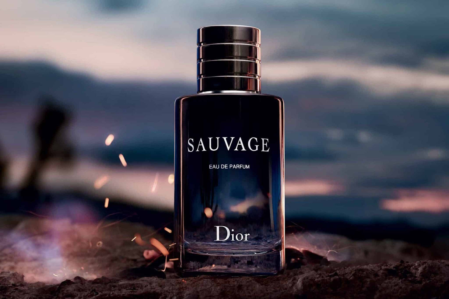 Dior Sauvage  EDP Spray